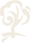 logo_gimdecar
